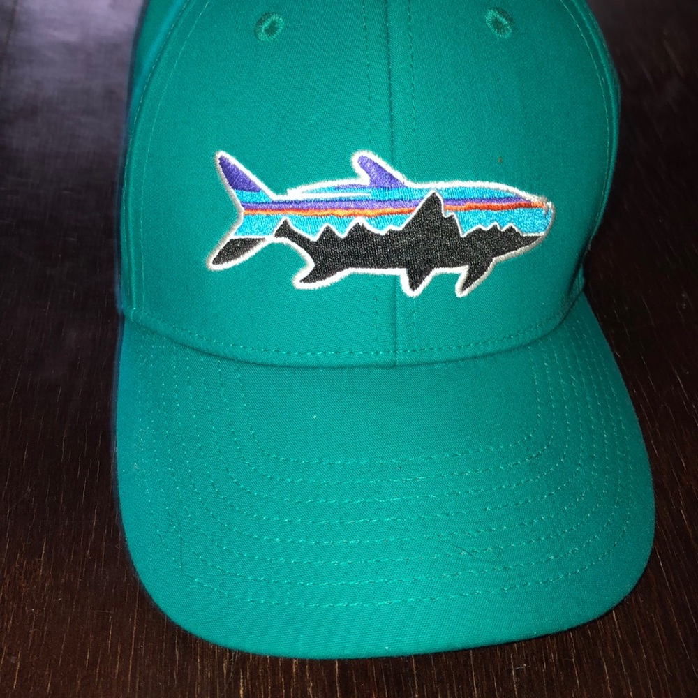 Patagonia stretch fit hat